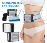 Home Use Slimming Criolipolisis Machine Cryo Cold Fat Reduction Cryotherapy Beauty Equiment